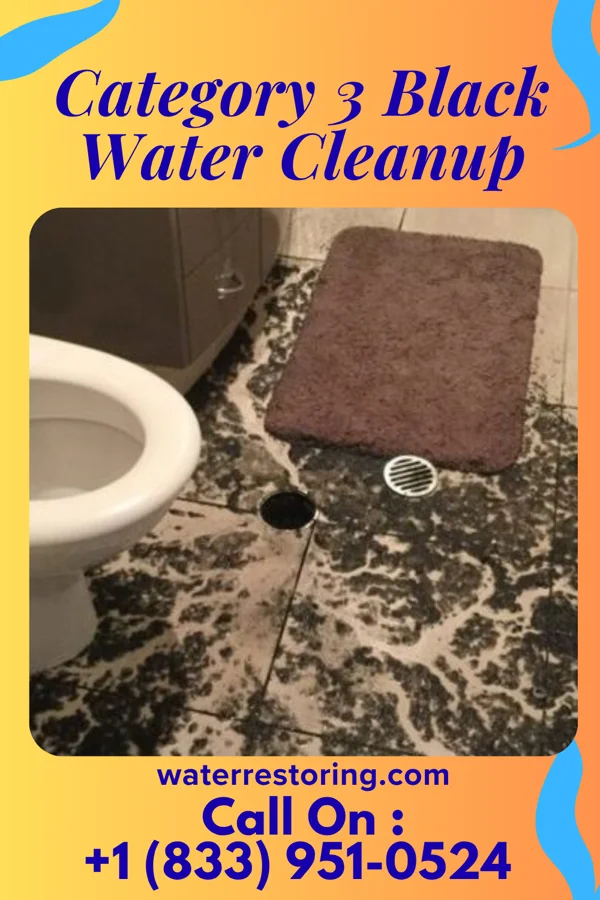 Category 3 Black Water Cleanup in Canadian, TX